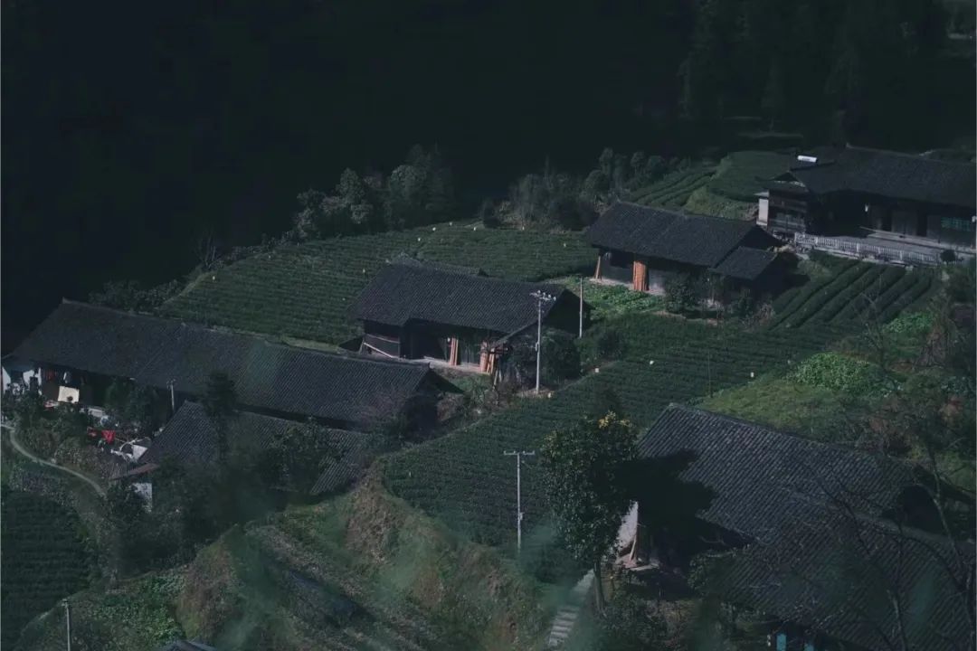 DƬ